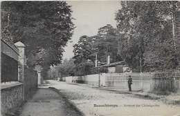 CPA De BEAUCHAMPS - Avenue Des Chataigniers - Beauchamp