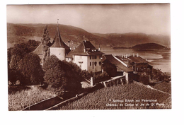 Suisse Schloss Erlach Mit Petersinsel Chateau De Cerlier Et Ile De St Pierre Timbre + Cachet Erlach 1923 - Cerlier