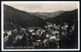 A0263 - Alte Foto Ansichtskarte - St. Blasien Vom Weißenstein - Haine - Gel 1931 - St. Blasien