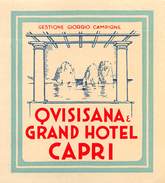 D5488  "QVISISANA & GRAND HOTEL CAPRI - GESTIONE GIORGIO CAMPIONE"   ETICHETTA ORIGINALE - ORIGINAL LABEL - Etiquettes D'hotels
