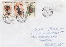 Roumanie - Année 1996 - Lettre/Insectes Divers - Cartas & Documentos