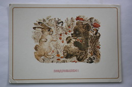 Cograts! - OLD USSR  Postcard -  By Charushin - 1982 - Frog / Grenouille - Bear - Mushroom / Champignon - Paddestoelen