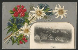 TROGEN AR Prägekarte Mit Alpenblumen Edelweiss Heiden 1911 - Heiden