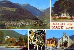 Saluti Da Malè - Cval Di Sole - Trento - Formato Grande Non Viaggiata - E - Trento
