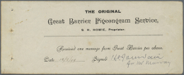 1899, New Zealand Great Barrier Pigeongram Service, Complete Receipt Dated 18/8/99 And Signature; Three Holes At... - Other & Unclassified