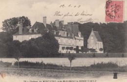 Dep 37 - Baumont A Ronce - Château  De Montifray  : Achat Immédiat - Beaumont-la-Ronce