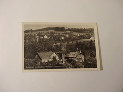 Restaurant Und Kurhaus Waldhaus Johannesburg Küsnacht - Zürich 1929 (207) - Küsnacht