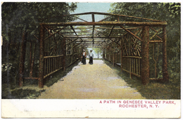 A Path In Genesee Valley Park, Rochester, N.Y. - 1908 - The Rochester News Company - Rochester