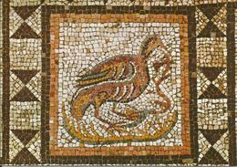 CPM Vaison La Romaine (84 Vaucluse) Mosaïque, La Perdrix, Site Archeologique, Quartier De La Villasse (oiseau) - Antike