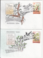 55486- HBUCKTHORN, BLUEBERRY, MEDICINAL PLANTS, SPECIAL COVER, 2X, 1994, ROMANIA - Plantas Medicinales