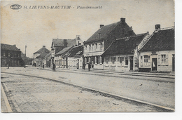 St.Lievens-Hautem  Paardenmarkt - Sint-Lievens-Houtem