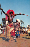 ¤¤  -  3443  -  L'Afrique En Couleurs  -  Danseurs Africains  -  ¤¤ - Ohne Zuordnung