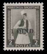 ALBANIA - Serie Ordinaria (soprastampato N. 17) - 1 Q. Su 2 Q. Bruno Oliva - 1942 - Albanie