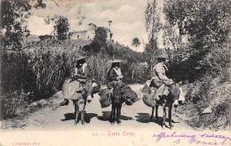 Corse      20      Divers  Type Corse.  Femme Dont Laitère; Montées Sur Leurs ânes    (voir Scan) - Autres & Non Classés