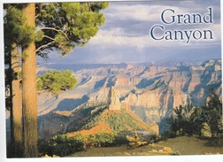 Arizona > Grand Canyon - Gran Cañon