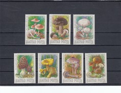 Hongrie - Champignons Divers - Neufs** - Année 1984 - Y.T. N° 2935/2941 - Unused Stamps