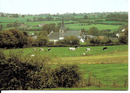 SIVRY-RANCE (6470) : Vue Panoramique De Sivry. CPSM. - Sivry-Rance