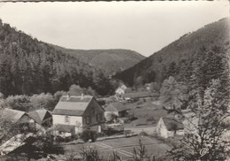 KLINGENTHAL    67 BAS RHIN   CPM     VALLEE DE VORBRUCK  ET MAISON FORESTIERE - Andere & Zonder Classificatie