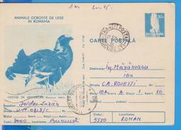 BIRD BIRDS  ROMANIA POSTAL STATIONERY - Cuckoos & Turacos