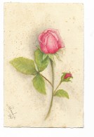 ROSA ILLUSTRATA LANDINI 1937 NV FP - Blumen