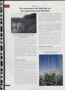 Belgie 1999 2815/16 Europa CEPT   Herdenkingskaart (uit Jaarboek) - Cartes Souvenir – Emissions Communes [HK]
