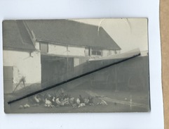 Carte Photo Déchirée - Intérieure De Cour De Ferme , Poules , Coq Poussins Volailles - Farms