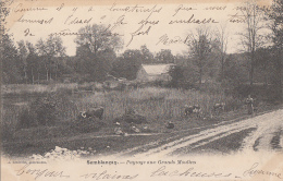 Semblançay 37 - Paysage Aux Grands Moulins - 1903 - Semblançay