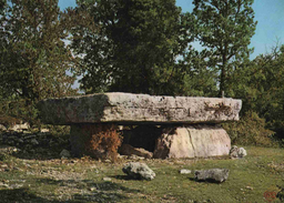 CPM  Livernon Dolmen De La Pierre Martine - Livernon