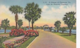 Florida Clearwater Glimpse Of Clearwater From Memorial Causeway 1959 Curteich - Clearwater