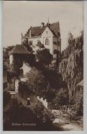 Schloss Salenstein - Animee Belebt - Photoglob No. 2214 - Salenstein