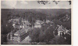 AK Alexisbad - Harz - Gesamtansicht Vom Birkenhäuschen - Ca. 1935 (27235) - Harzgerode