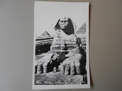 EGYPTE THE EXCAVATED SPHINX - Sphinx