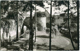 Tauberbischofsheim - An Der Alten Stadtmauer - Foto-Ansichtskarte - Tauberbischofsheim