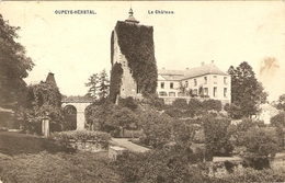 OUPEYE - HERSTAL   ---  Le Château - Oupeye