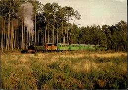 40 - SABRES - Ecomusée De La Grande Lande Marquèze - Train Touristique - Sabres