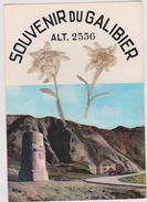 73,SAVOIE,VALLEE DE LA VALLOIRETTE,GUISANE,GALIBIER,AJOUTIS FLEURS - Saint Michel De Maurienne