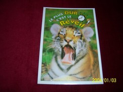LOT 3 CARTES DE  POSTALES   ° THEME   DES  TIGRES - Tiger