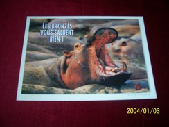 THEME  L'HIPPOPOTAMES  °° LES BRONZES VOUS SALUENT BIEN - Nijlpaarden