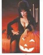 Elvira Mistress Of The Dark Promo Card - Not For Sale - Andere & Zonder Classificatie