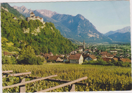 LIECHTENSTEIN,OBERLAND,VADUZ,terre Agricole - Liechtenstein