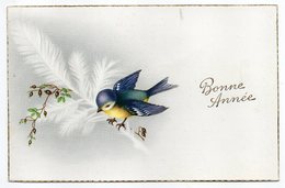 Nouvel An--Bonne Année--Bel Oiseau  Sur Branche, Fruits  Cpsm 14 X 9  N° 485  éd  Univers - Nouvel An