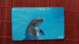 Dolphin Phonecard - Delphine