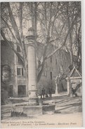 MAZAN La Grande Fontaine, Marché Aux Fruits - Mazan