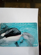 JAPON JAPAN ORQUE DAUPHIN DELFIN DOLFIN  SUPERBE - Dolfijnen