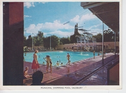 CPSM Salisbury (Hararé) - Municipal Swimming Pool (avec Jolie Animation) - Simbabwe