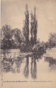 Les Environs De Bruxelles, Les Etangs De Rouge Cloïtre (pk33587) - Auderghem - Oudergem