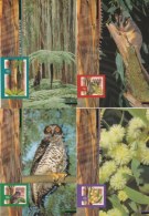 Australia Postal Stationary Nature Australia - Four Cards - Mint (C102PD) - Maximum Cards