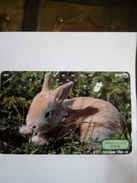 JAPON JAPAN RABBIT LAPIN 50U UT SUPERBE - Konijnen