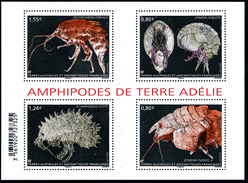 TAAF 2017 - Bloc Amphipodes** - Neufs