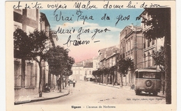 CPA Sigean  L'Avenue De Narbonne Autocar 11 Aude - Sigean